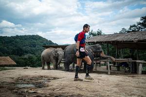 BIB: 
                            <button type="button" onclick="openModal(22424263)" class="btn btn-primary btn-sm float-right btn-popup" data-toggle="modal" data-target=".modal-high-quality">
                        <i class="fas fa-shopping-cart"></i> Add to Cart
                    </button>
                                            <button type="button" onclick="isThisMe(22424263, true)" class="btn btn-success btn-sm float-right btn-popup btn-isme hidden" data-toggle="tooltip" data-placement="bottom" title="นี่คือรูปของคุณใช่ไหม คลิกที่นี่เพื่อเอาเข้าอัลบั้ม">
                        <i class="fas fa-plus"></i> Add to album
                    </button>
                    <button type="button" onclick="isThisMe(22424263, false)" class="btn btn-warning btn-sm float-right btn-popup btn-isnotme hidden">
                        <i class="fas fa-ban"></i> Remove from album
                    </button>